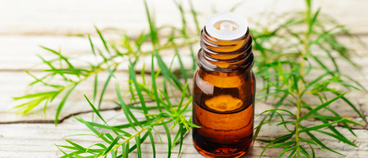 Huile essentielle anti mouche Comment faire pour les éloigner — free download